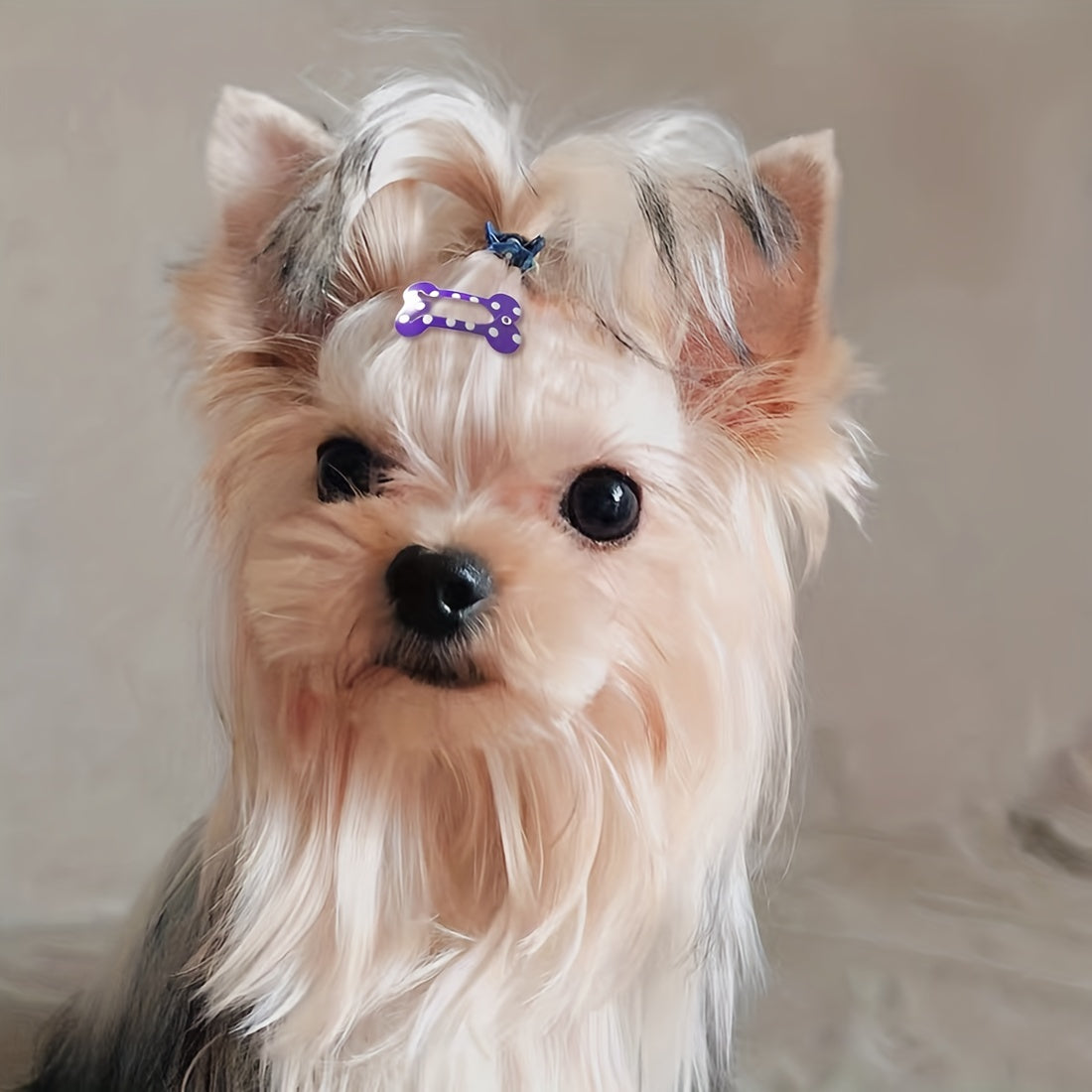 10-Pack of Adorable Pet Hair Clips - Perfect for Grooming Your Puppy or Kitten!.