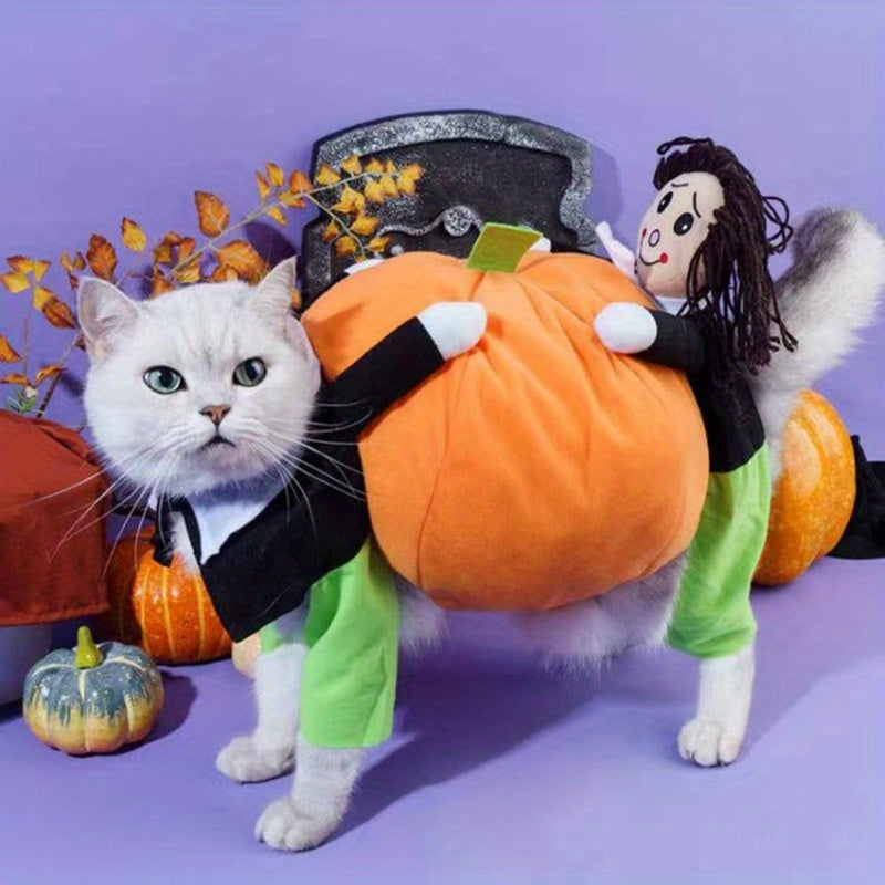 Pumpkin Dog Costume