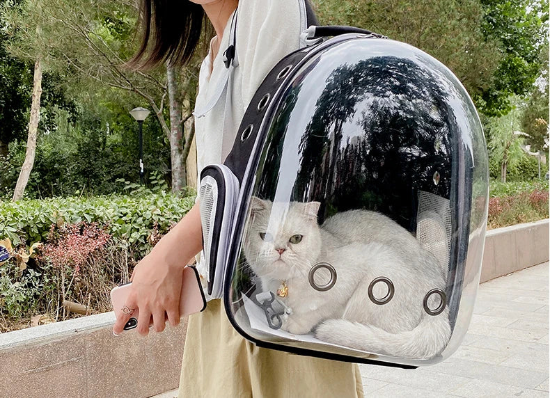 Breathable Space Backpack | Portable Pet Carrier for Cats & Puppies