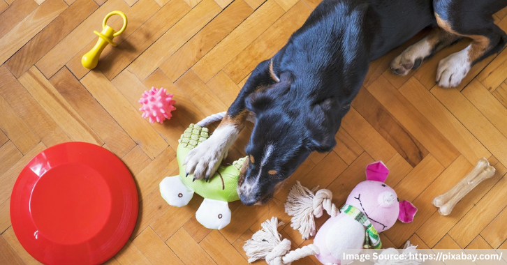 Top Dog Toys by Breed & Size: Fun for All Pups