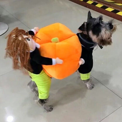 Pumpkin Dog Costume