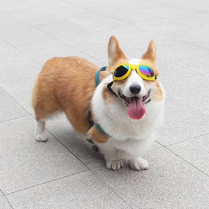 Stylish UV Protection Dog Shades - Adjustable Head Strap, Scratch-Resistant Lenses, Safe and Fashionable Eye Care for Pets