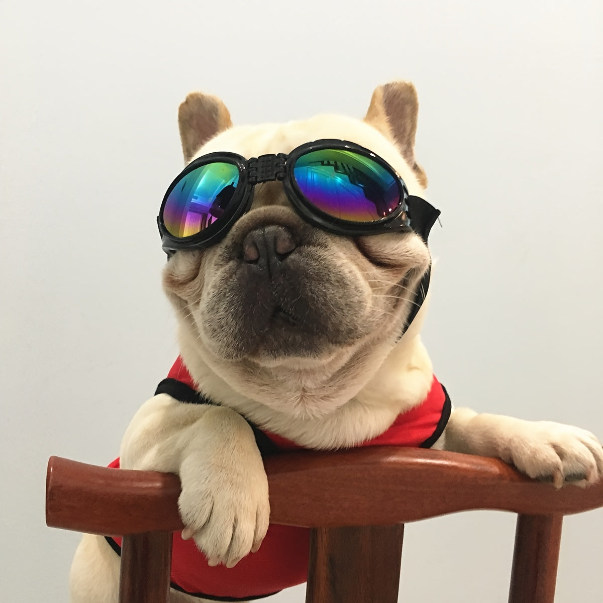 Stylish UV Protection Dog Shades - Adjustable Head Strap, Scratch-Resistant Lenses, Safe and Fashionable Eye Care for Pets