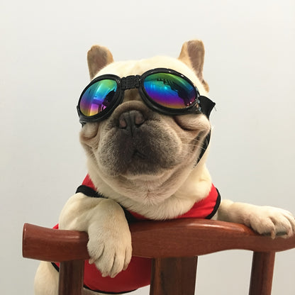 Stylish UV Protection Dog Shades - Adjustable Head Strap, Scratch-Resistant Lenses, Safe and Fashionable Eye Care for Pets
