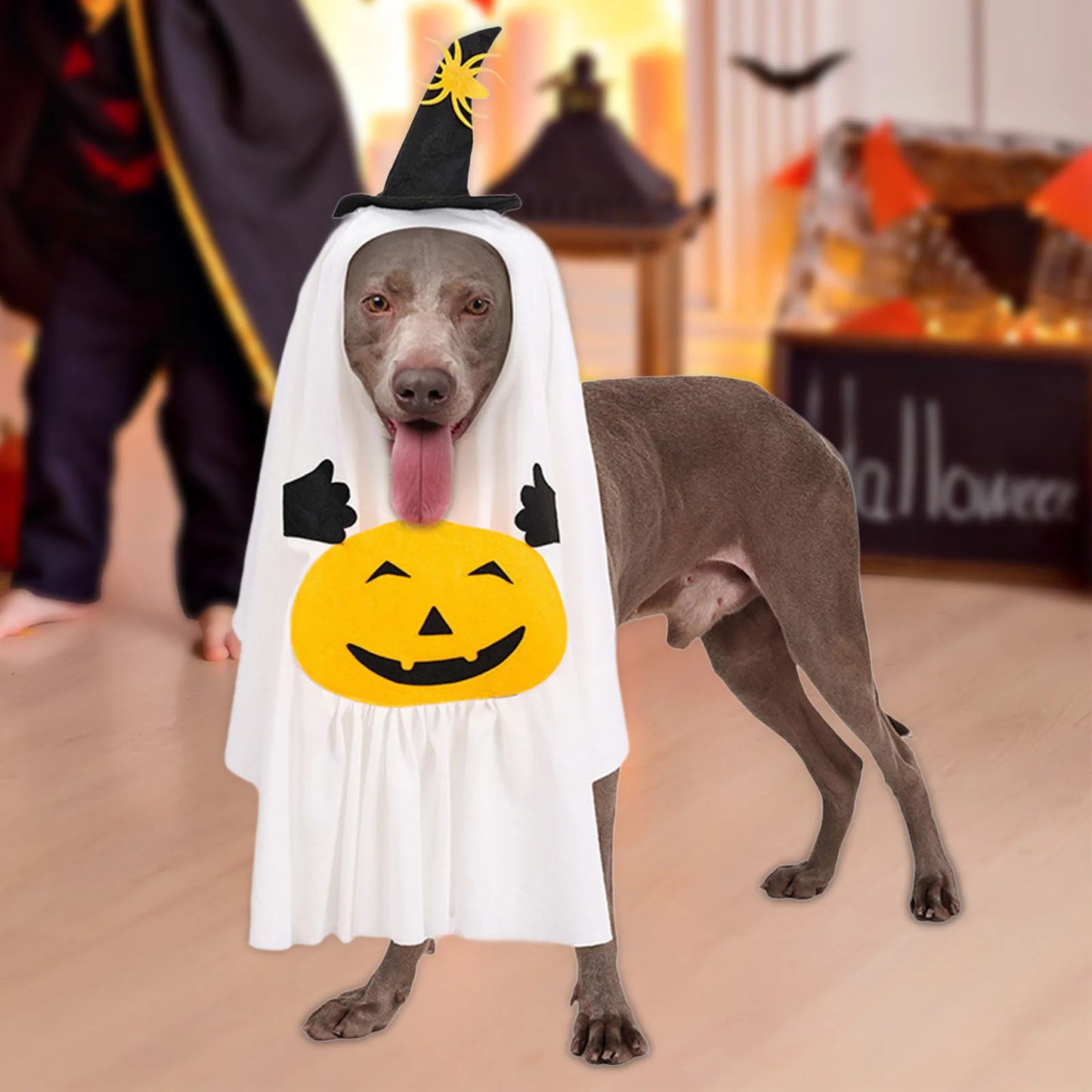 Halloween Ghost Pumpkin Dog Costume