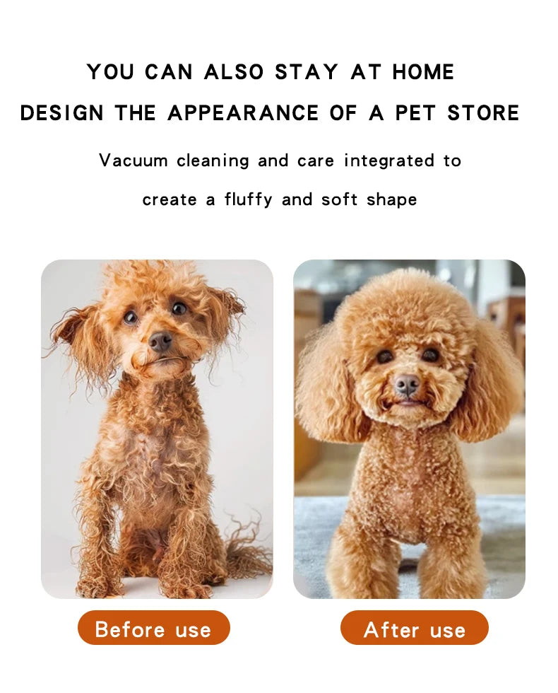 Pet Hair Dryer Blowing Comb – Strong Wind Grooming Brush with Cool Air for Dogs & Cats