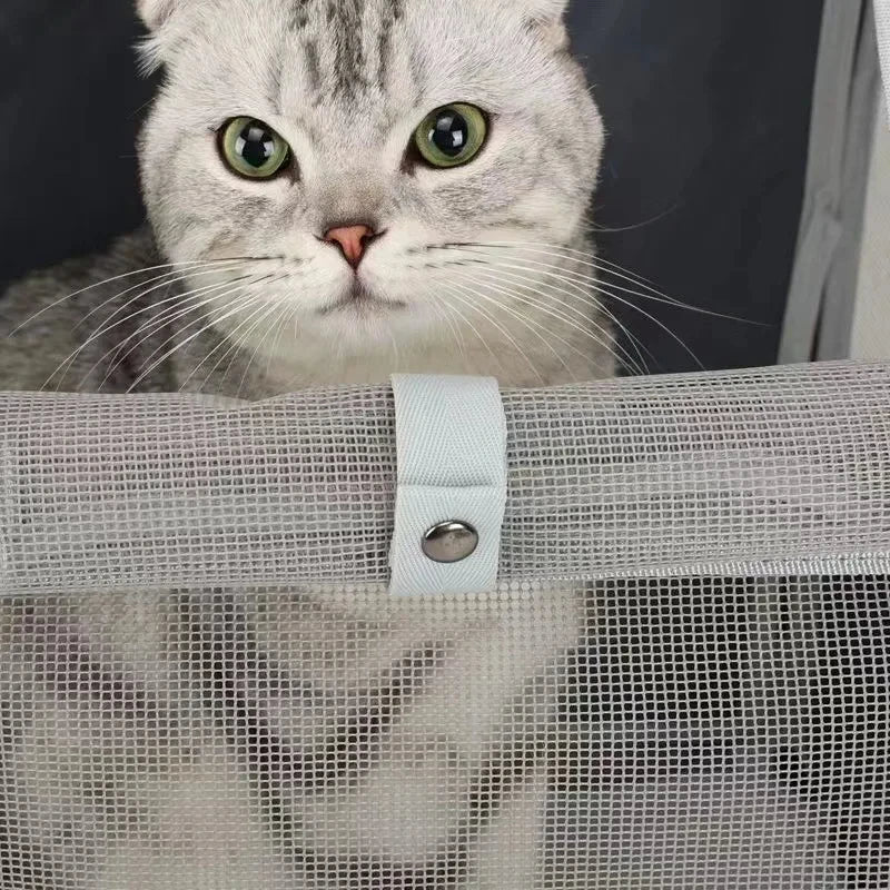 Outdoor Pet Carrier Bag – Breathable Backpack for Cats & Dogs