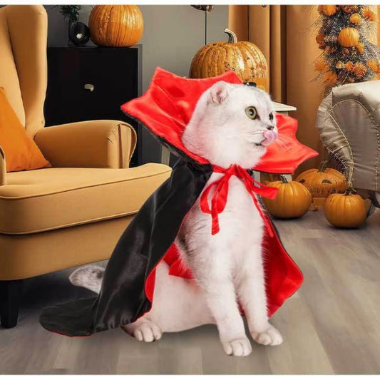 Cats Dog Halloween Festival Set Halloween Vampire