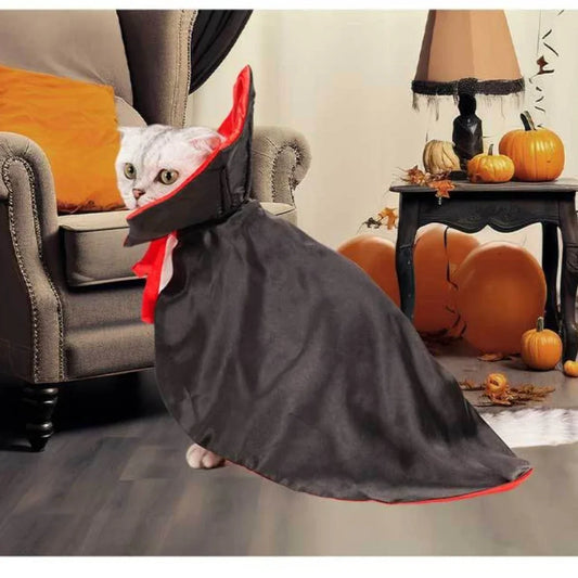 Cats Dog Halloween Festival Set Halloween Vampire