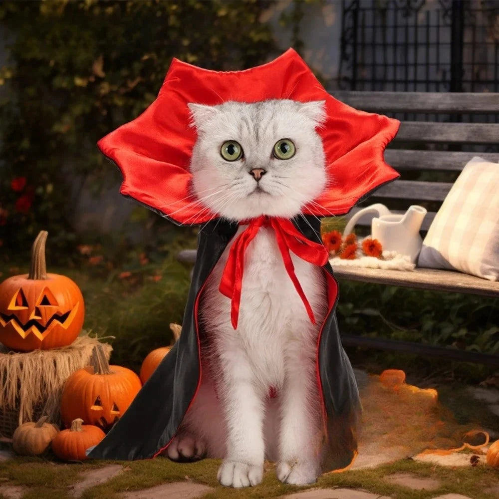 Cats Dog Halloween Festival Set Halloween Vampire