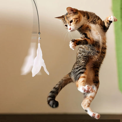 Interactive Cat Teaser Wand – Feather & Bell Toy with Suction Cup Pole