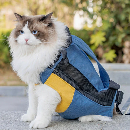 Portable Cat Carrying Bag – Stylish Canvas Backpack for Kittens & Cats