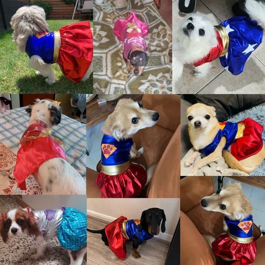 Pet Dog Dress Halloween Super Claw Skirt