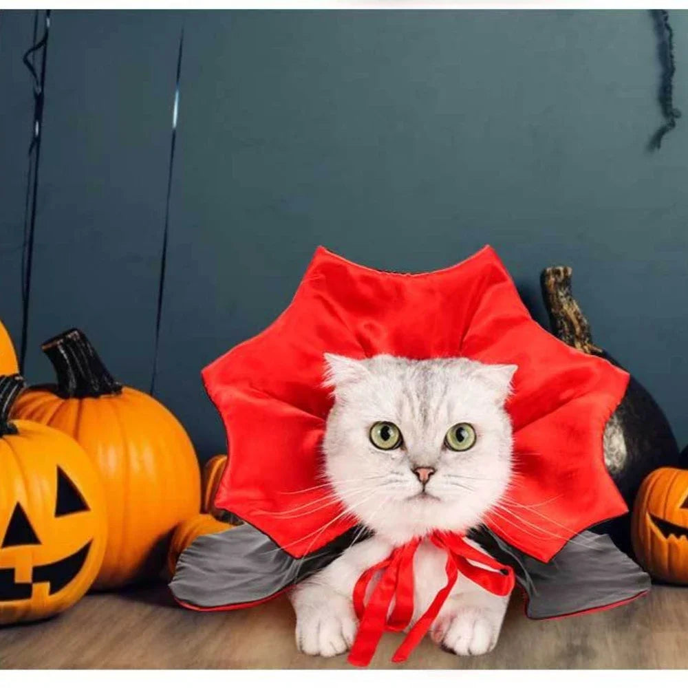 Cats Dog Halloween Festival Set Halloween Vampire
