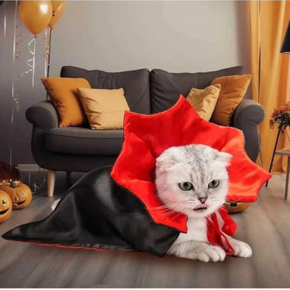 Cats Dog Halloween Festival Set Halloween Vampire