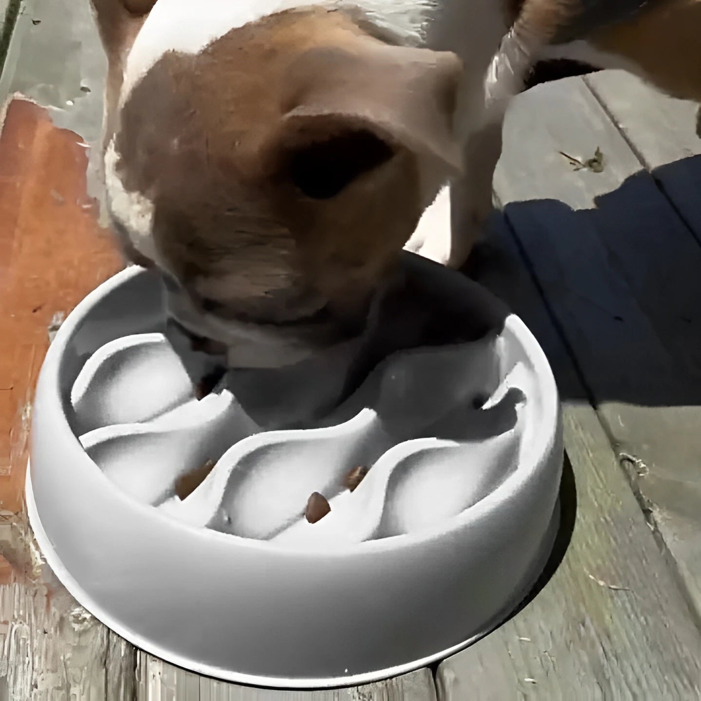 Pet Slow Feeding Bowl – Wavy Design, Dual-Purpose for Cats & Dogs