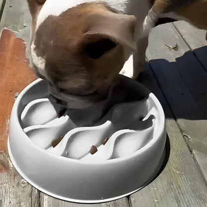 Pet Slow Feeding Bowl – Wavy Design, Dual-Purpose for Cats & Dogs