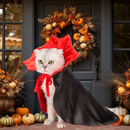 Cats Dog Halloween Festival Set Halloween Vampire