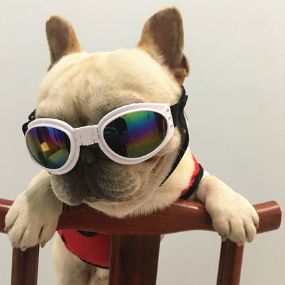 Stylish UV Protection Dog Shades - Adjustable Head Strap, Scratch-Resistant Lenses, Safe and Fashionable Eye Care for Pets