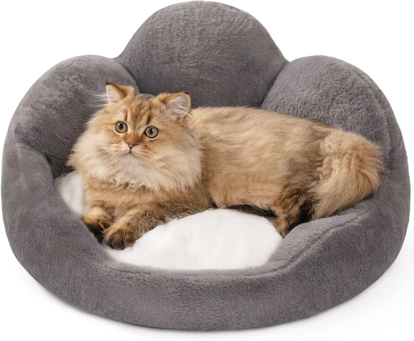 MEWOOFUN Cat and Dog Bed | Fluffy Washable, Indoor, Non Slip Bottom (Grey, Small Size 23)
