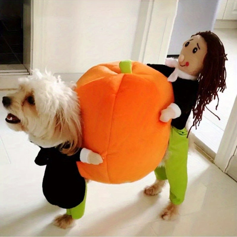 Pumpkin Dog Costume